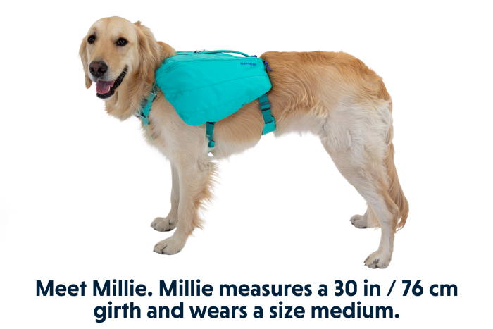 5060 Front Range Day Pack Aurora Teal MILLIE Medium 47442a62 a65d 4eb0 839b 0d41f1428cc2