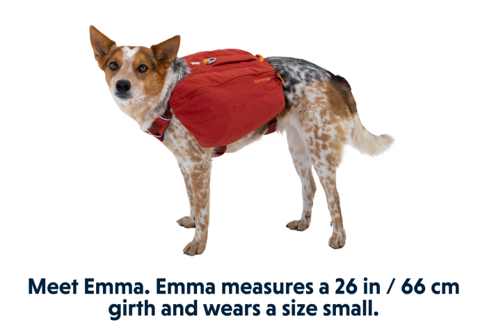 5060 Front Range Day Pack Red Clay EMMA Small ace40997 7e4e 4f7b b546 ae7b4fe35c80