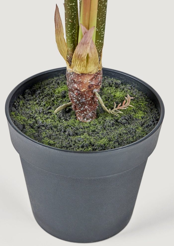 Closeup of Faux Alocasia Potted Plant in Black Pot