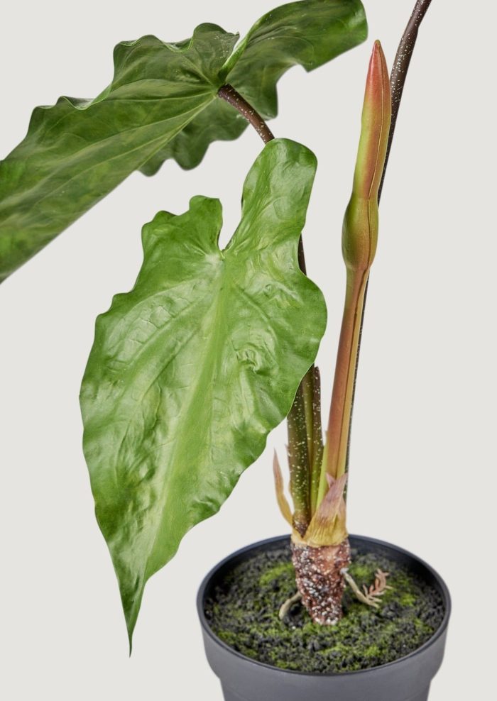Luxury Artificial Plants Tropical Potted Alocasia Leaf Plant