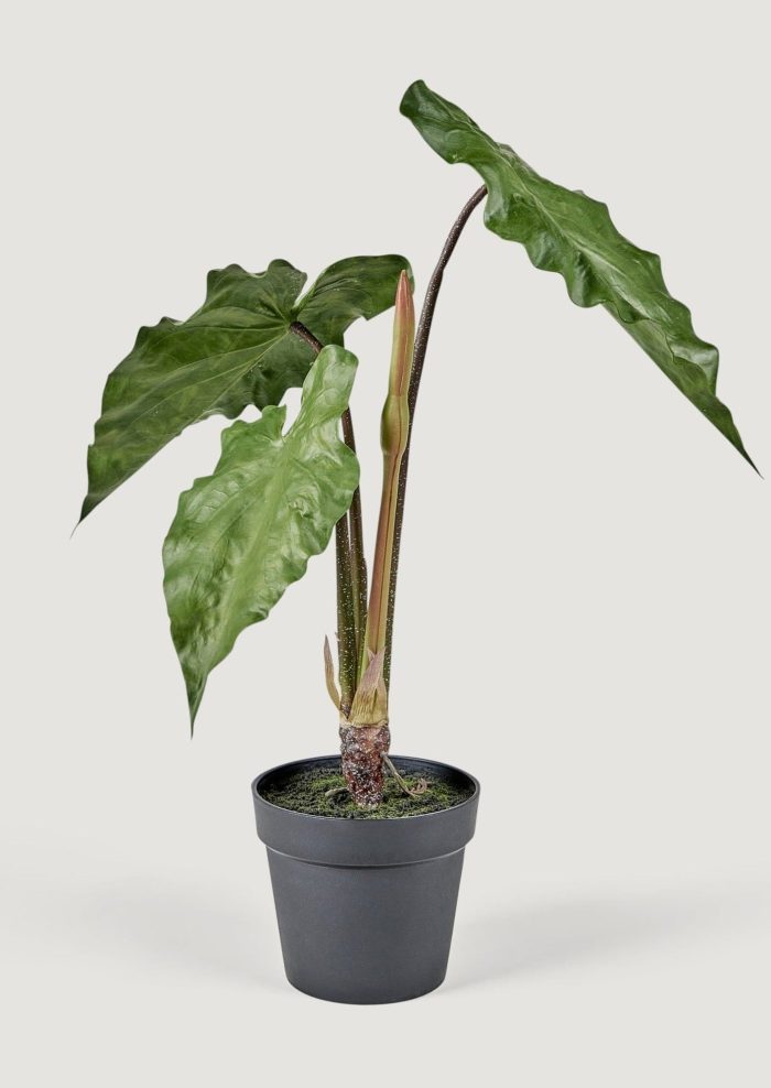 WIN PC11047 GR Faux Tropical Alocasia Potted Plant